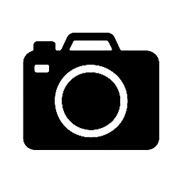 Bayla’s Snapshots