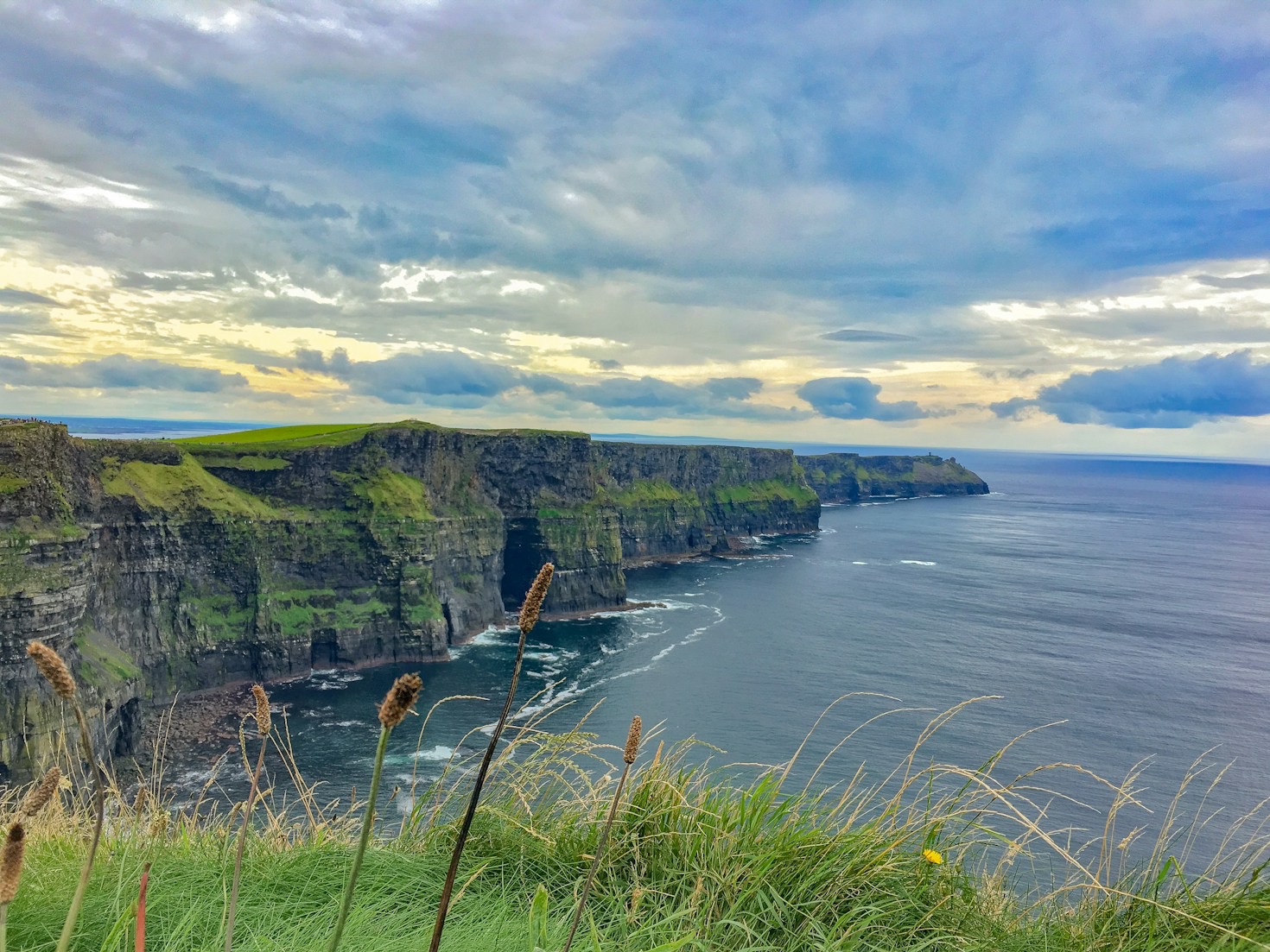 Nature’s Beauty: One Frame at a Time